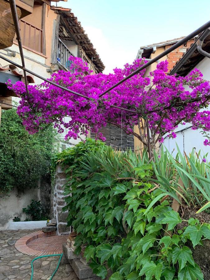 Lanzaroco, Tu Casa En La Vera Valverde de la Vera Εξωτερικό φωτογραφία